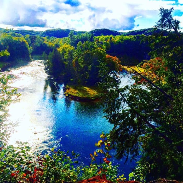 Manistee River trail loop in Manistee National Forest