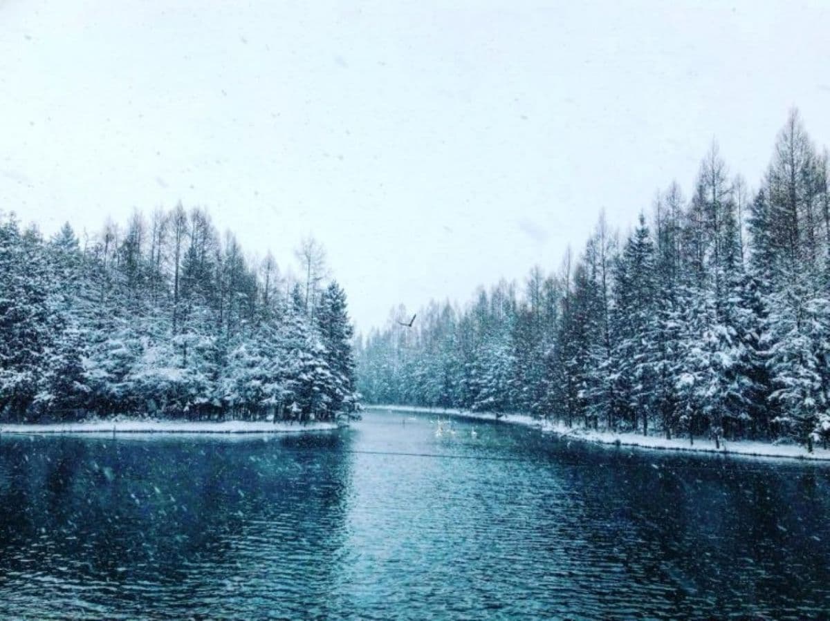 Tundra-Bound - A January Vacation to the Upper Peninsula